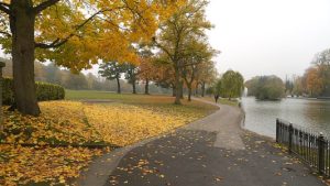 A photo of Cannon Hill Park in the autumn